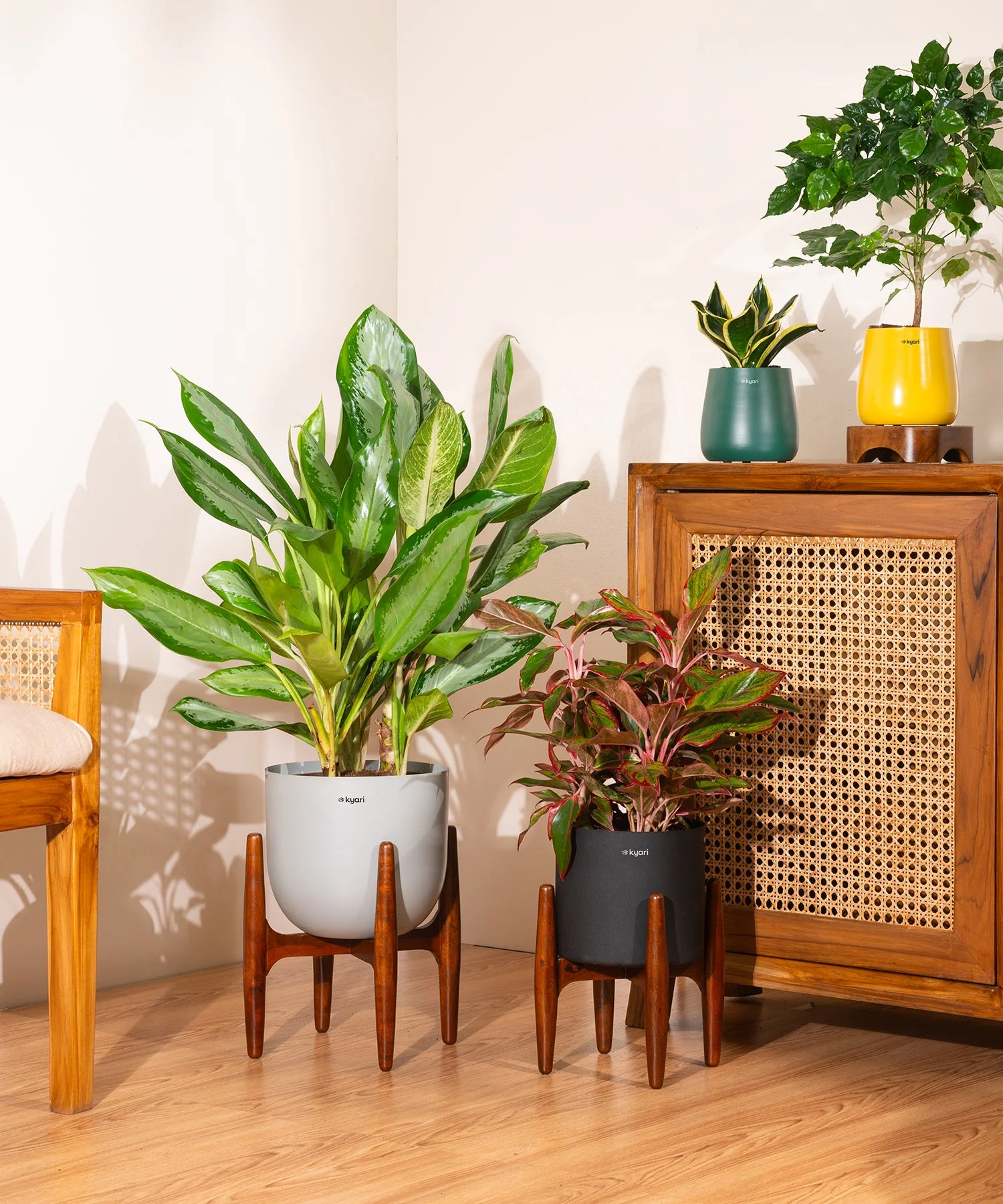 Product image 66