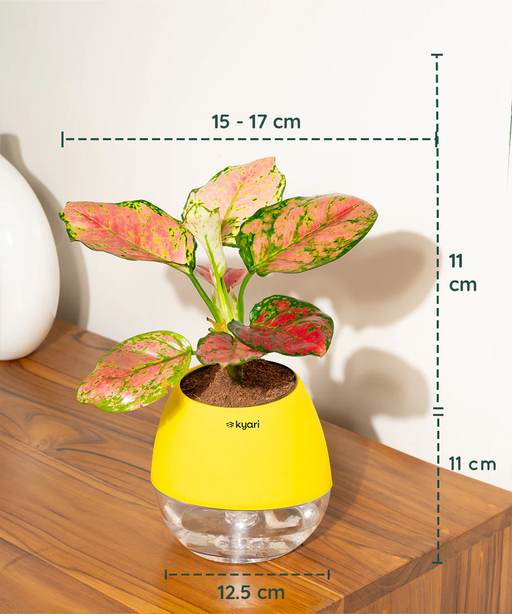 Product image 114