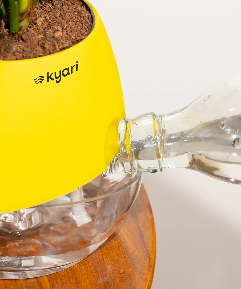 Product image 117