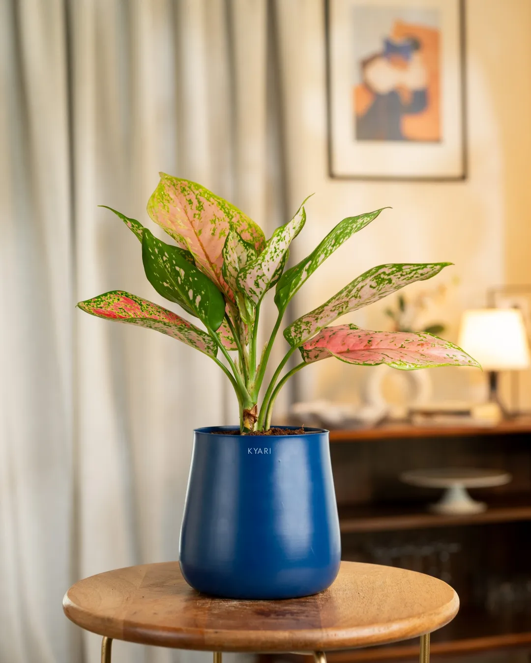 Product image 51