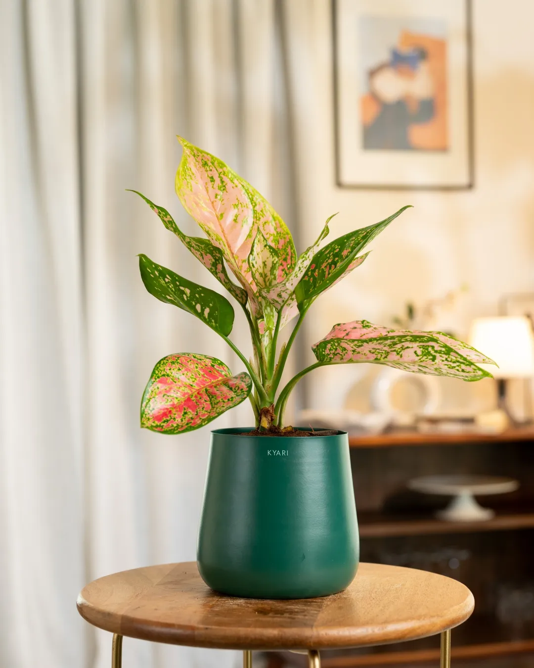 Product image 56