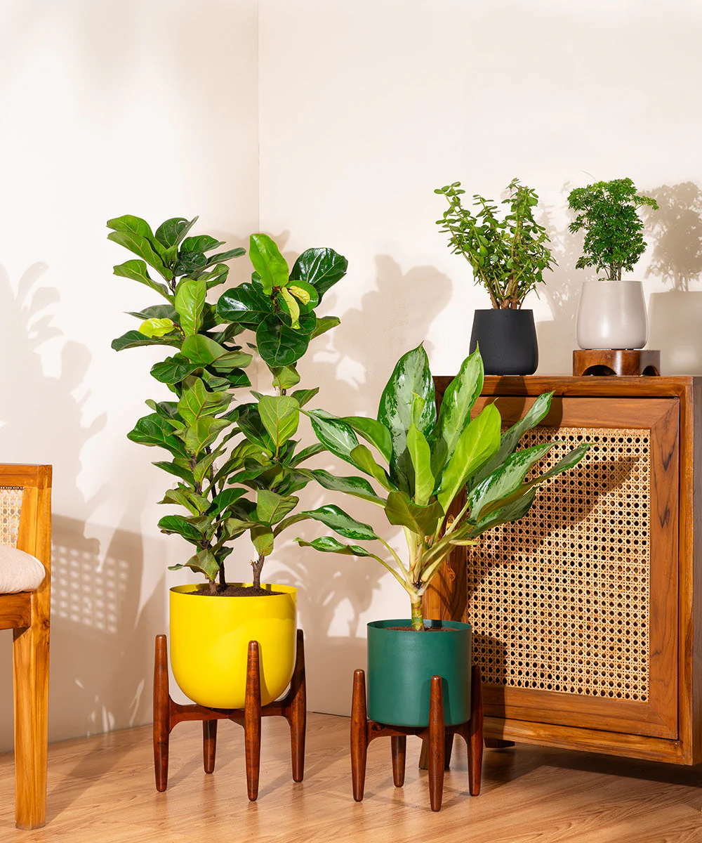 Product image 66