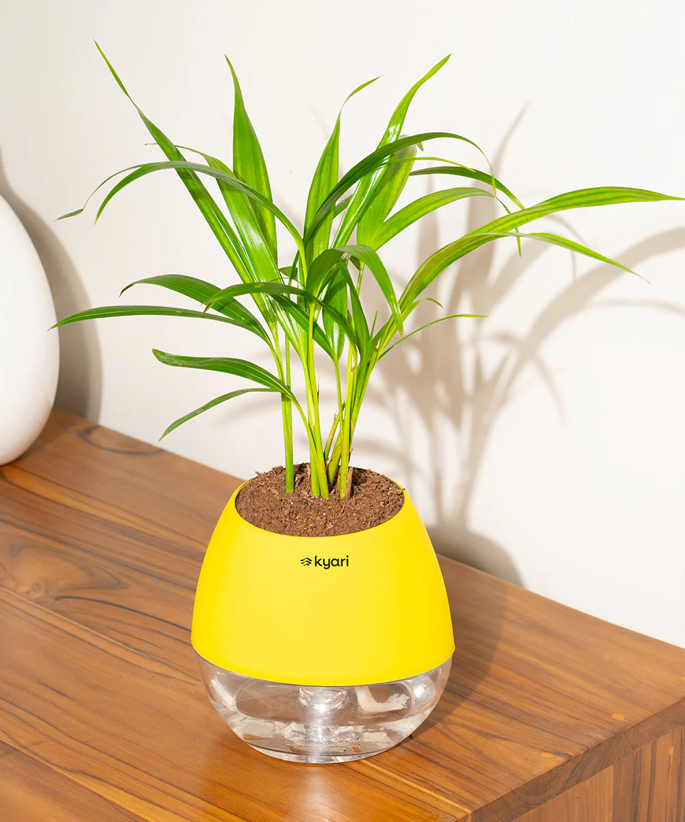 Product image 117