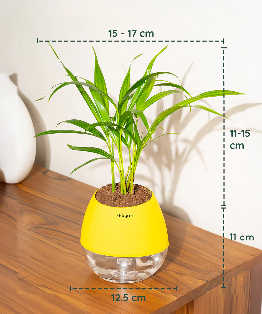 Product image 120