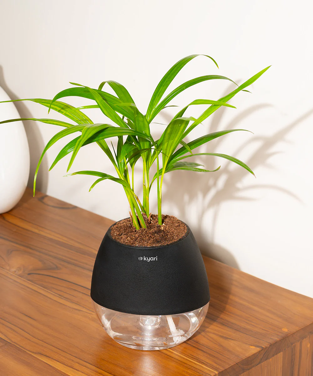 Product image 133
