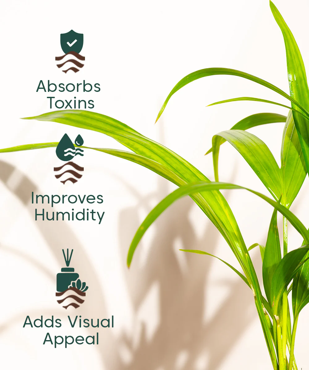 Product image 145