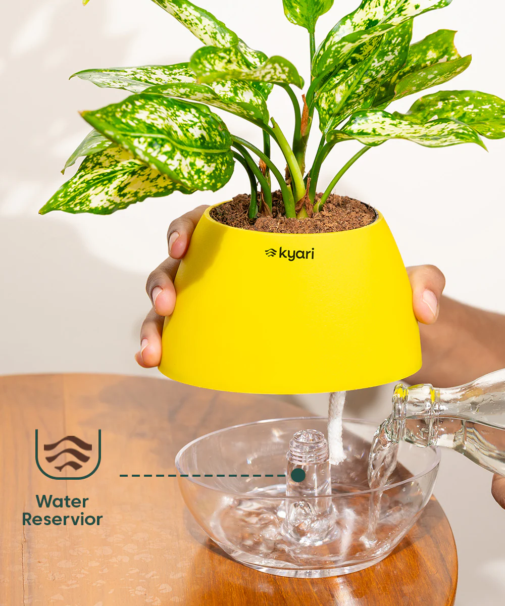 Product image 107