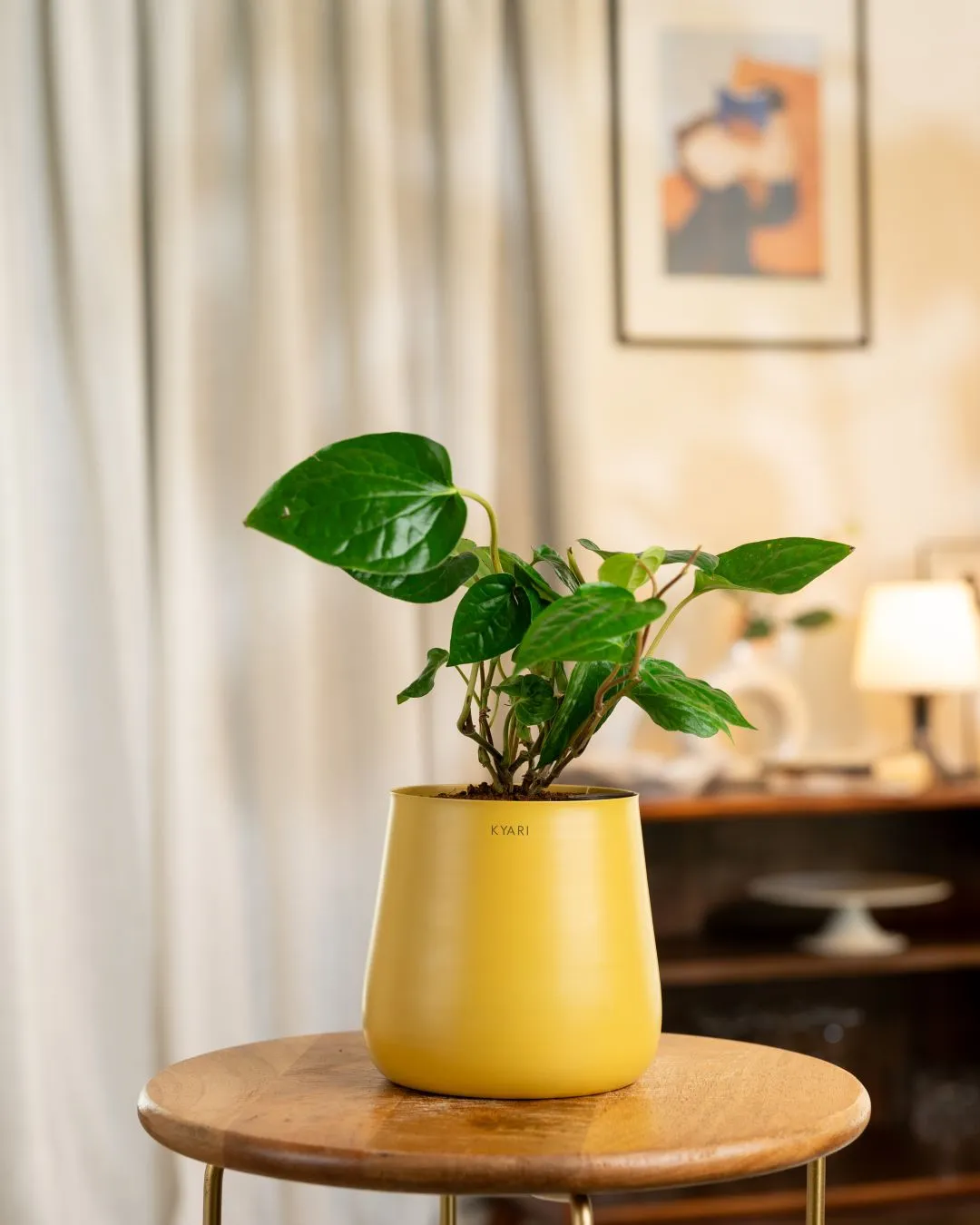Product image 61