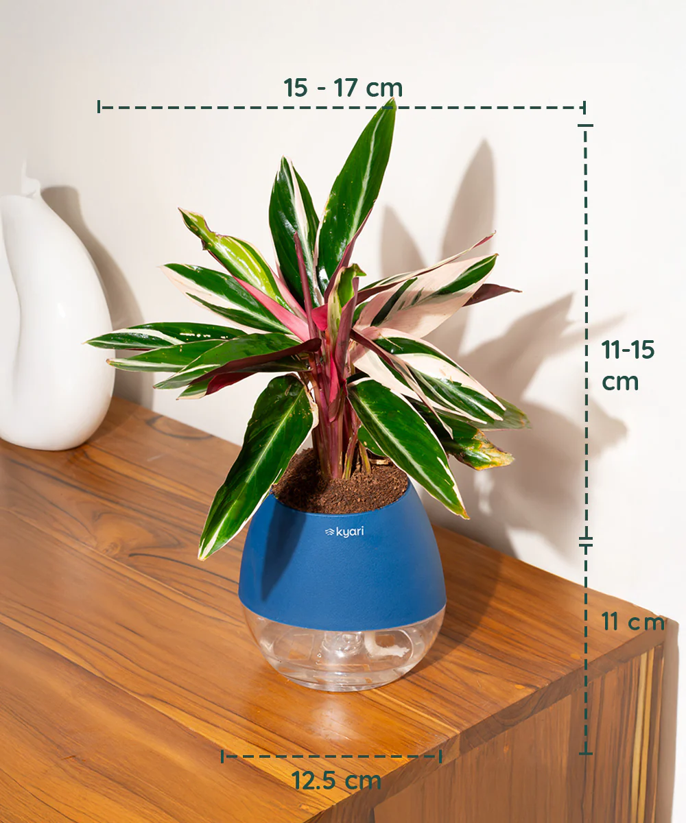 Product image 118