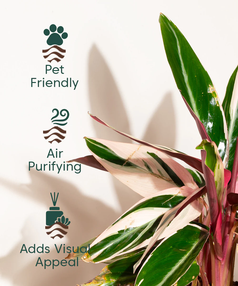 Product image 127