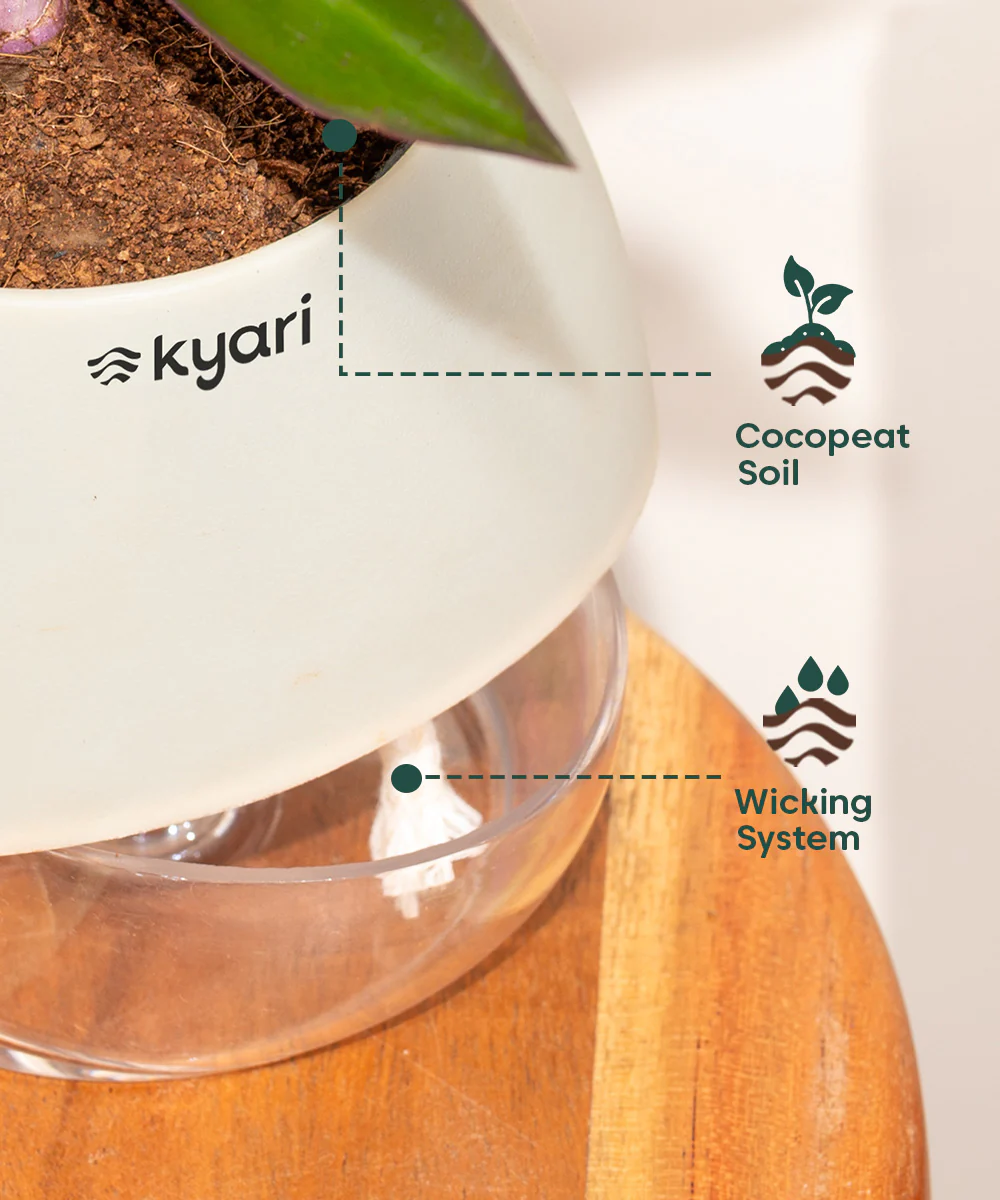 Product image 132
