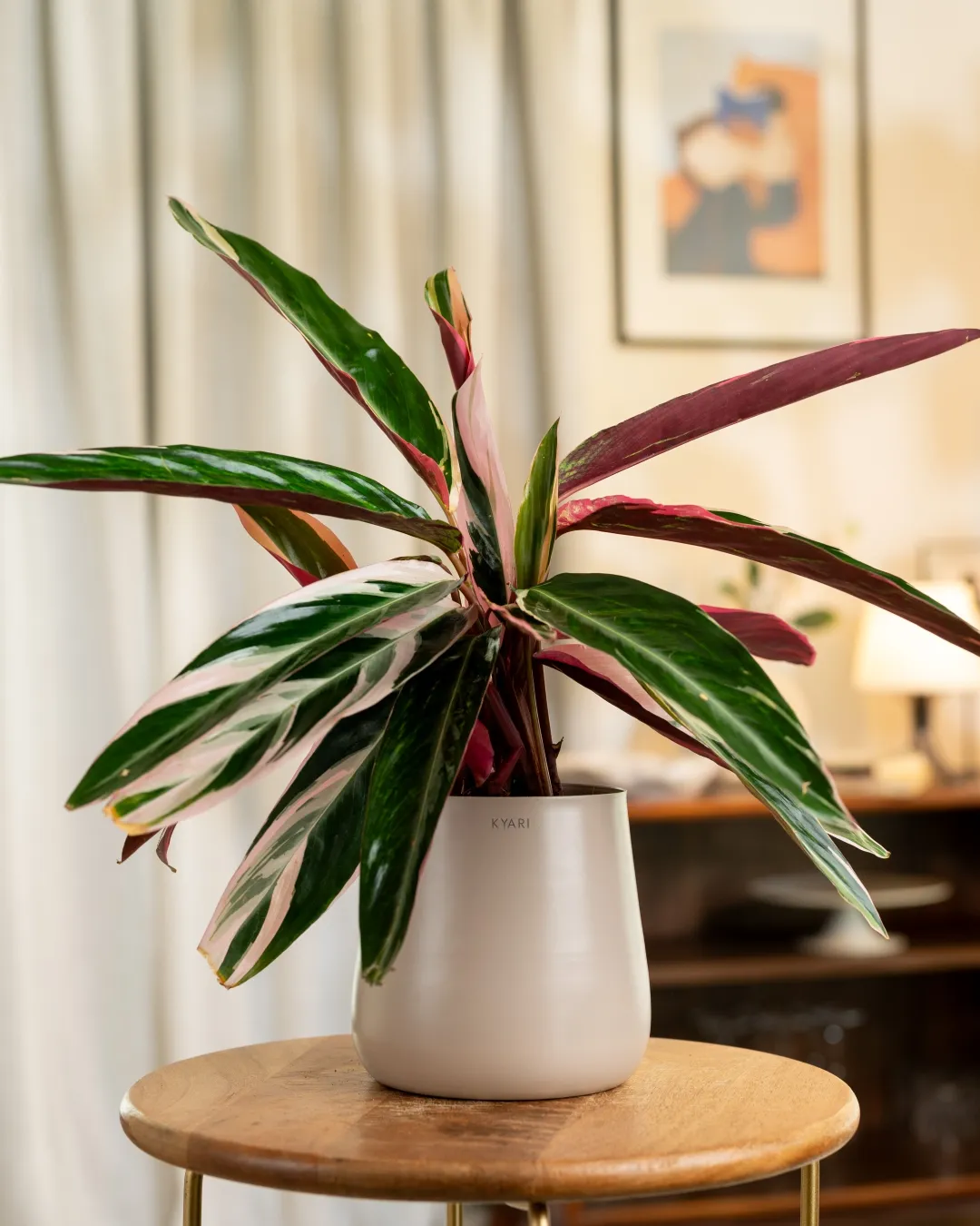 Product image 69