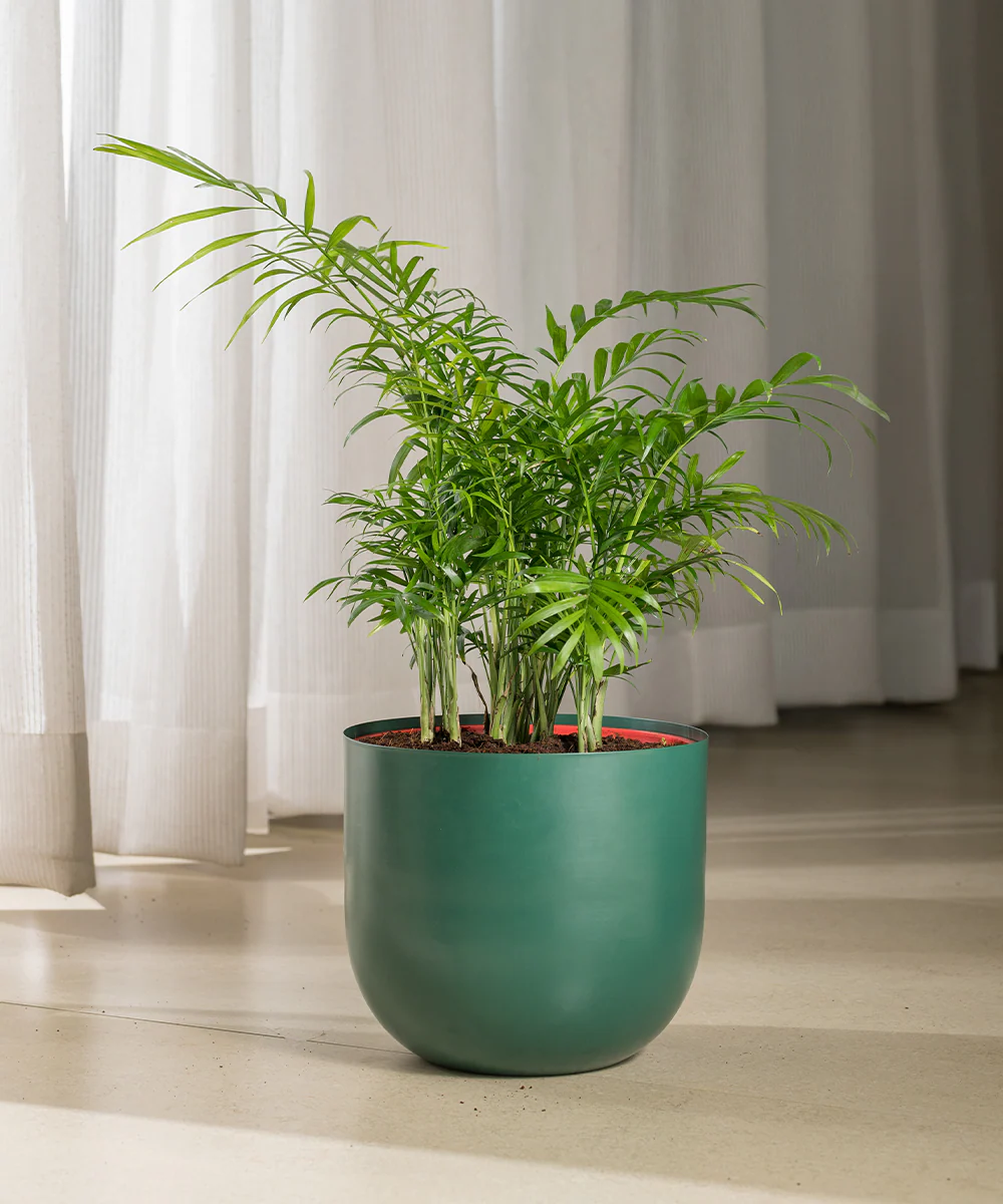 Product image 75