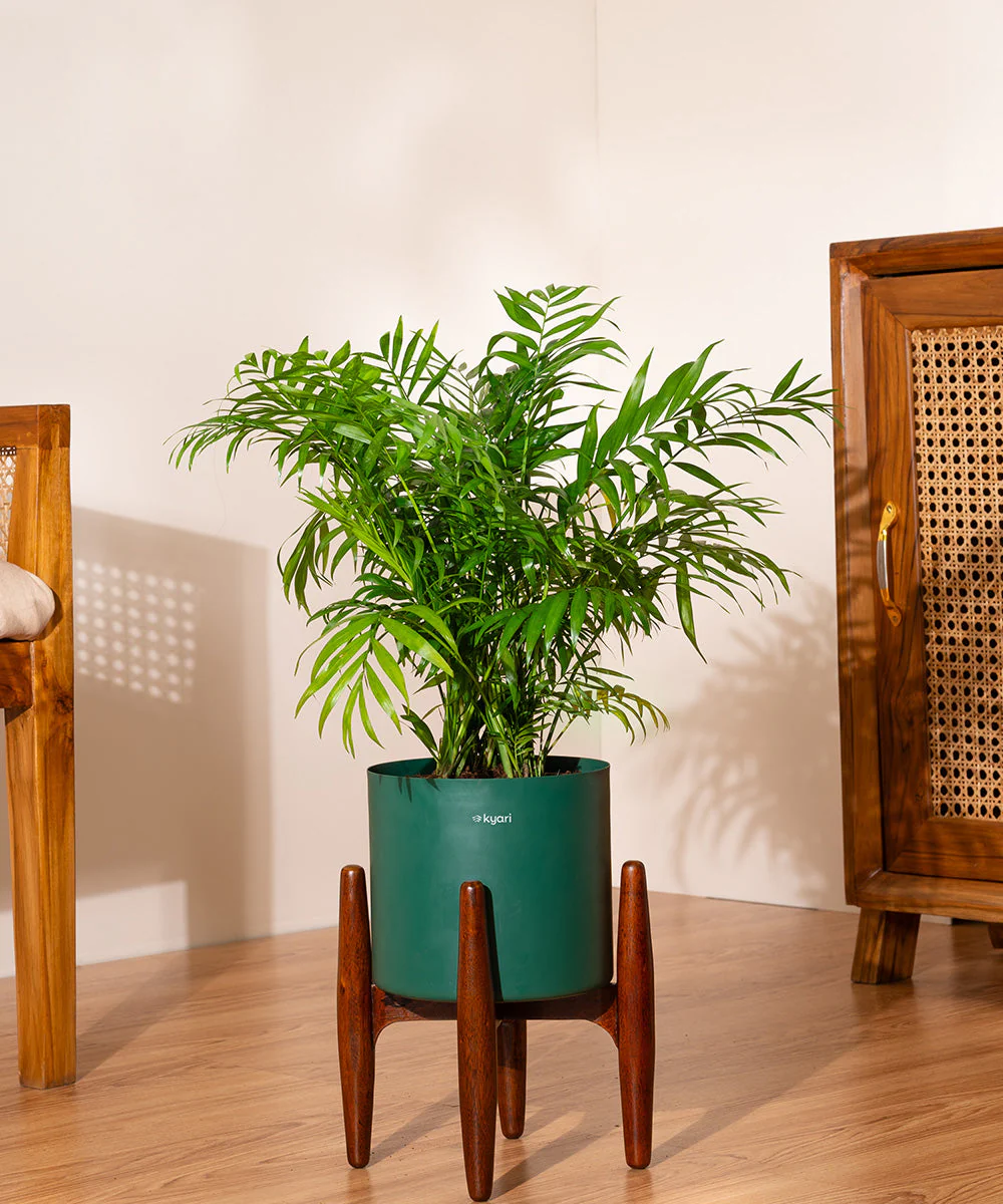 Product image 80