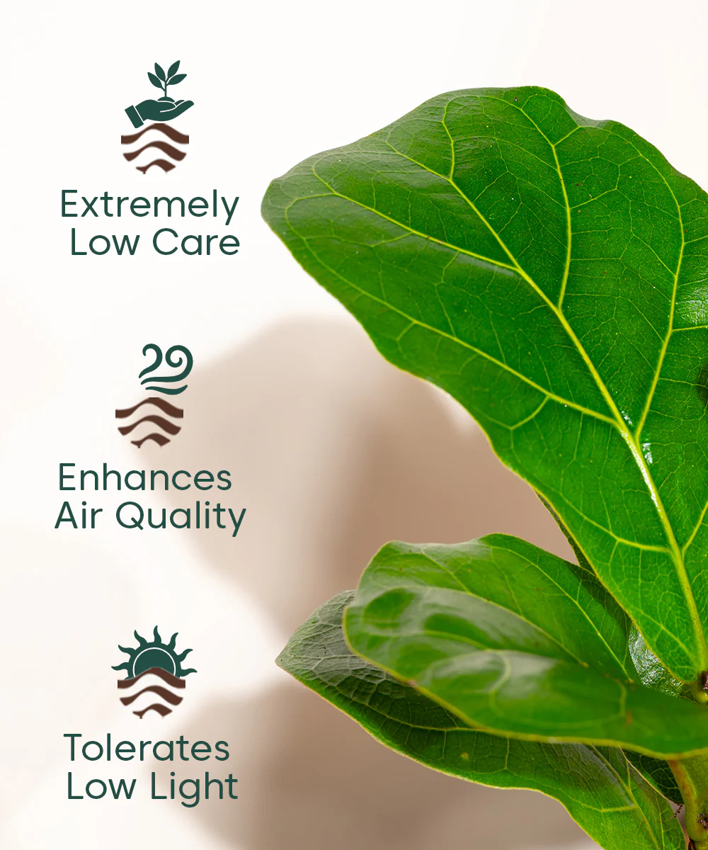 Product image 116