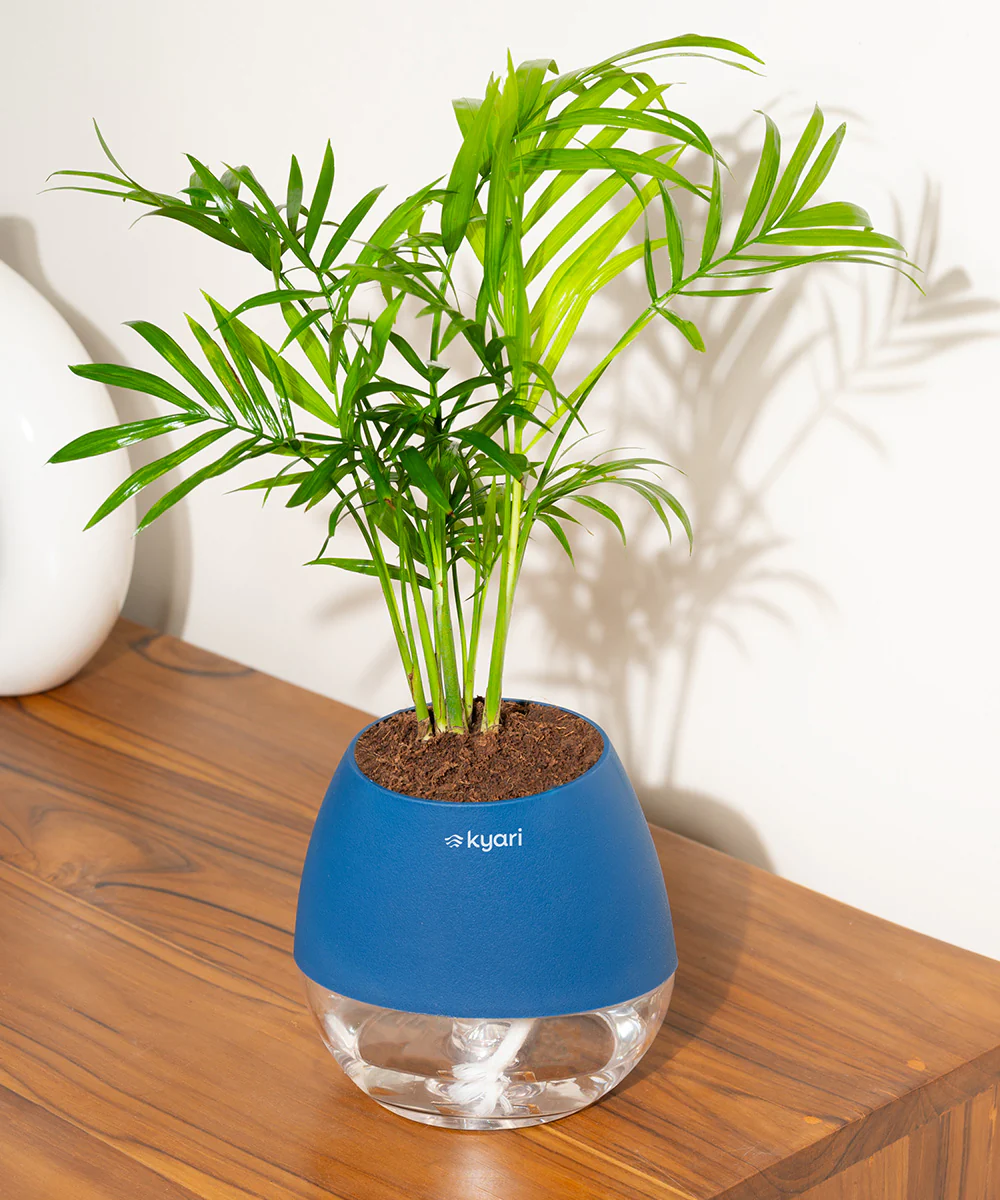 Product image 86