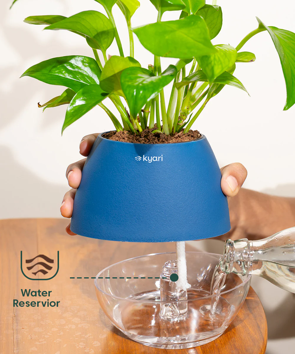 Product image 88