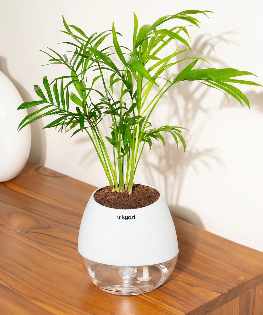 Product image 94