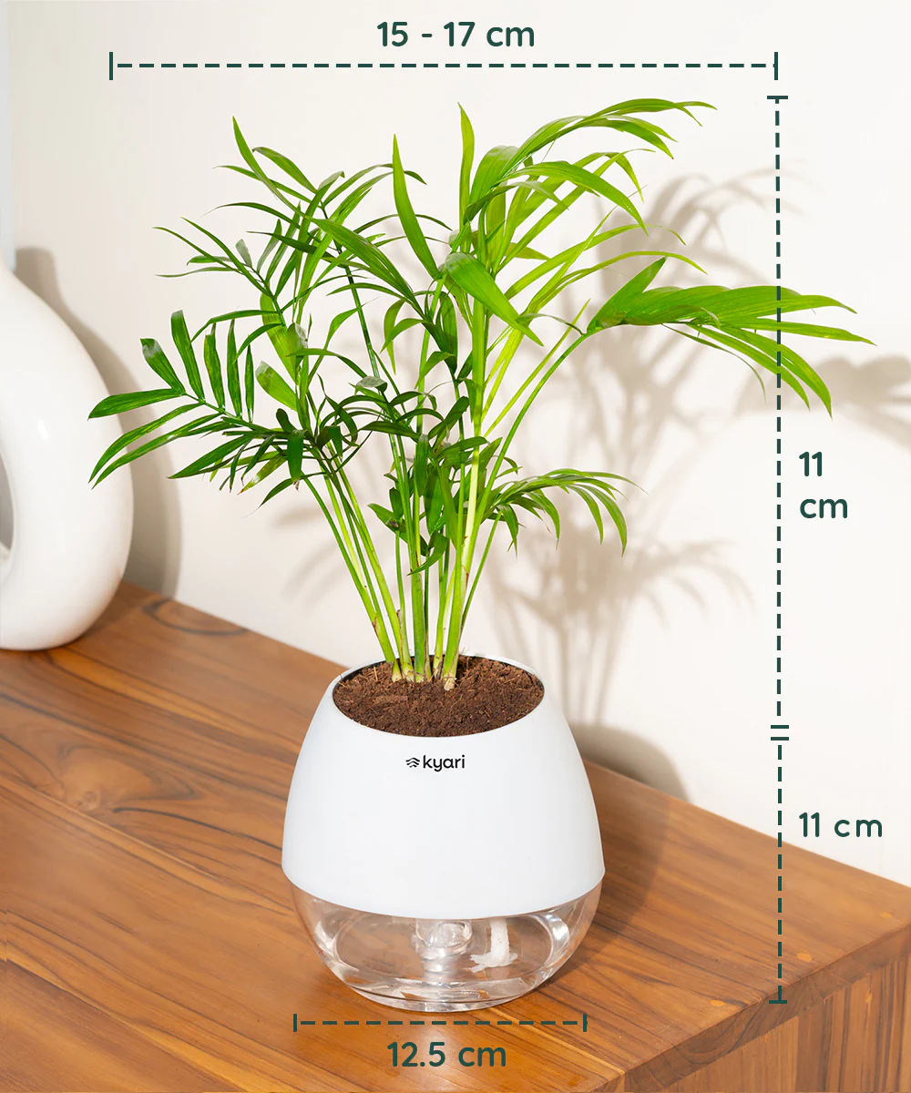 Product image 95