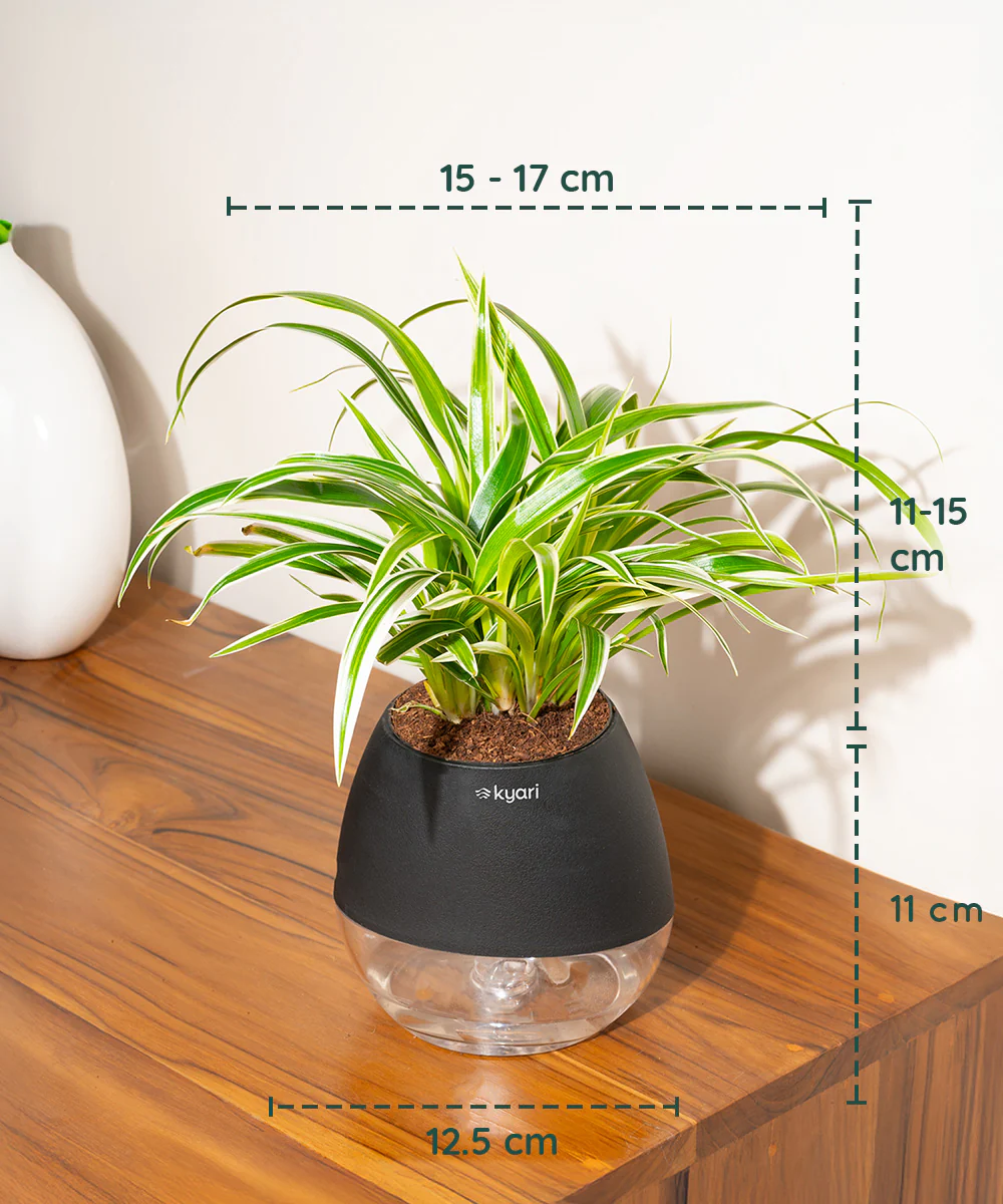 Product image 89