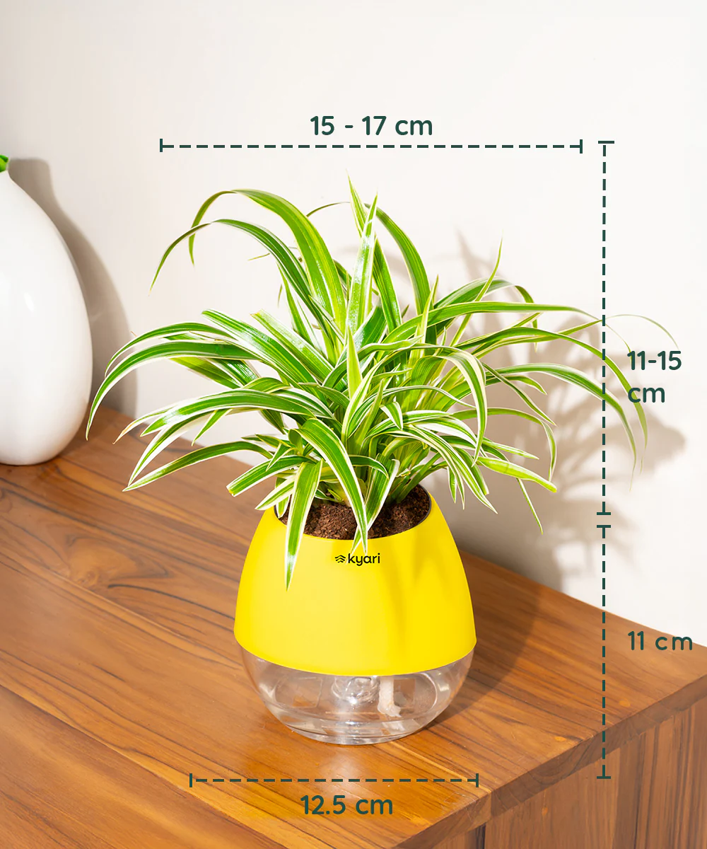 Product image 97
