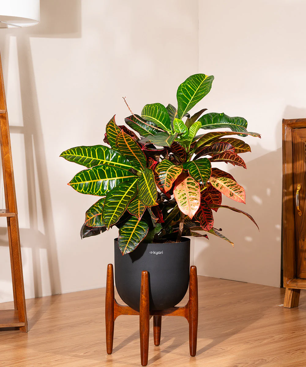 Product image 76
