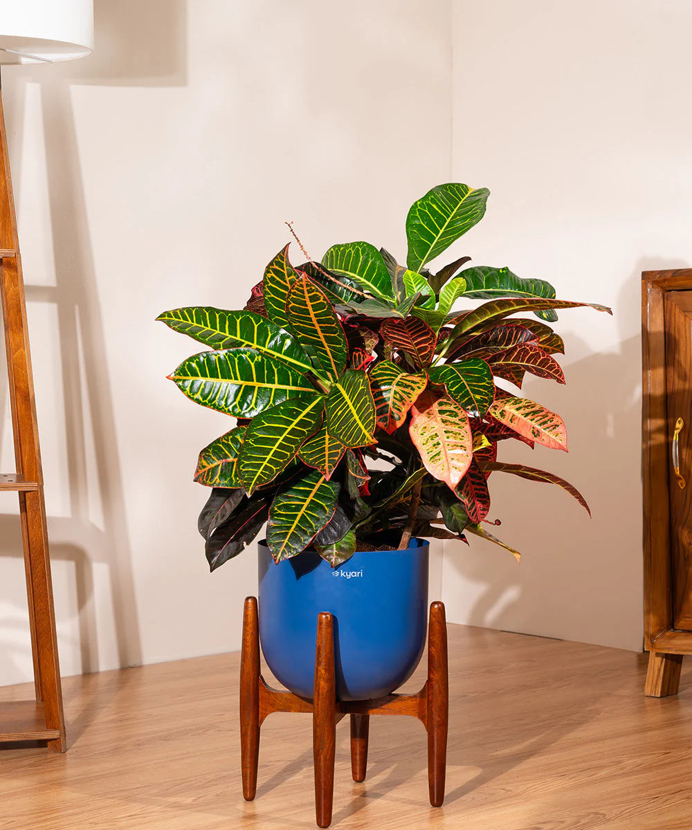 Product image 78
