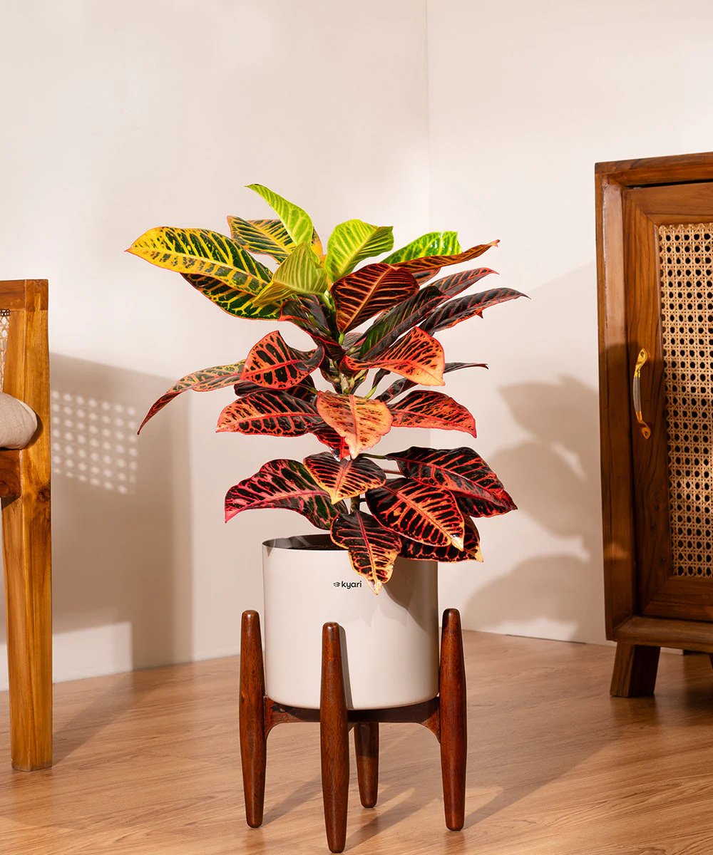 Product image 79
