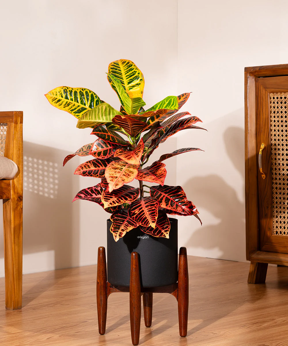 Product image 81