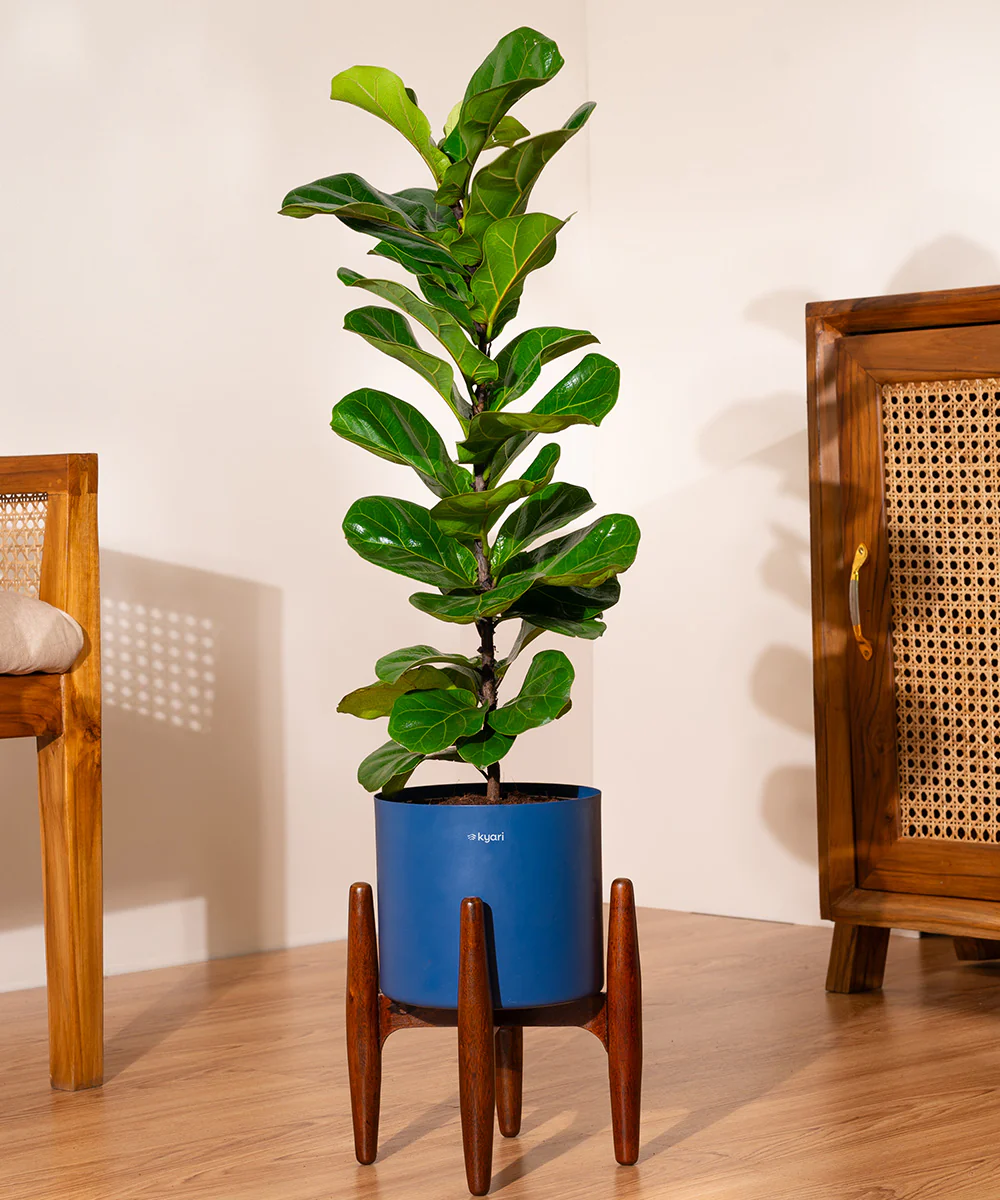Product image 105