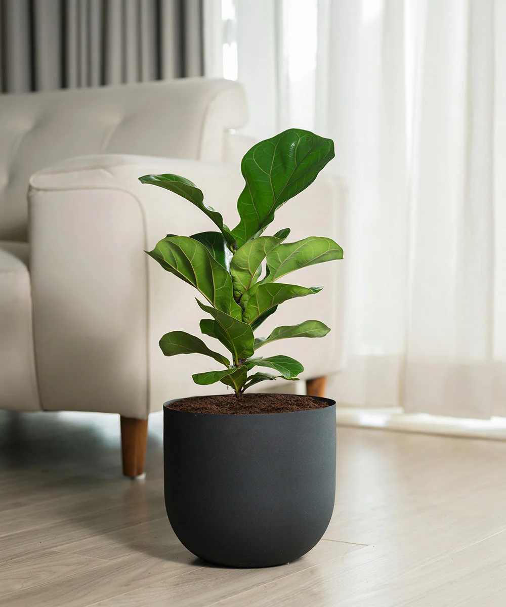 Product image 118