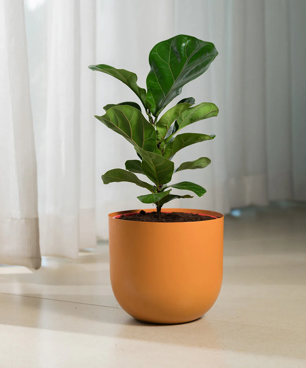 Product image 122