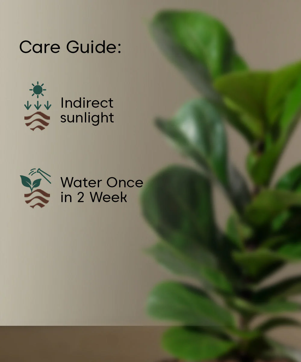 Product image 125