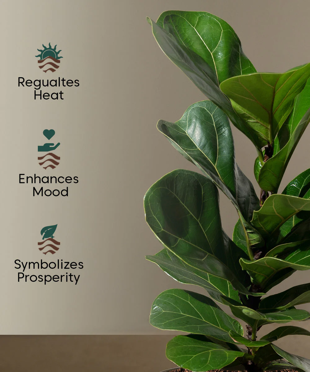 Product image 126