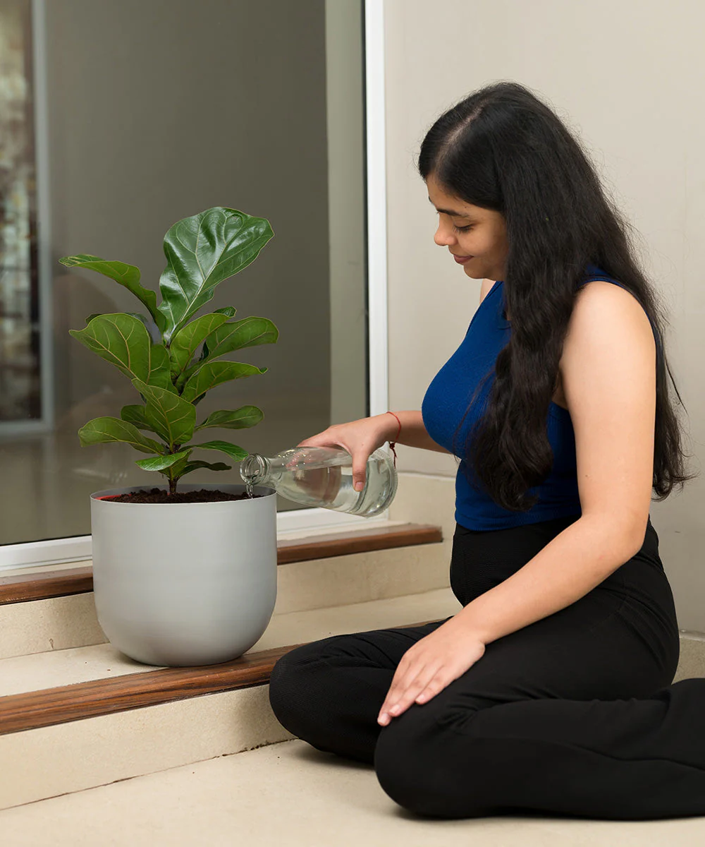 Product image 129