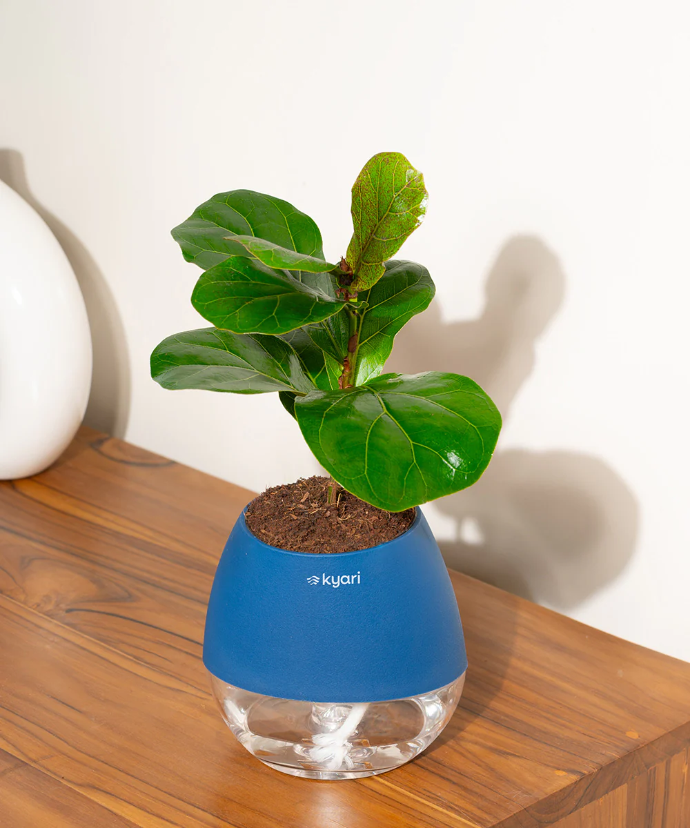 Product image 132