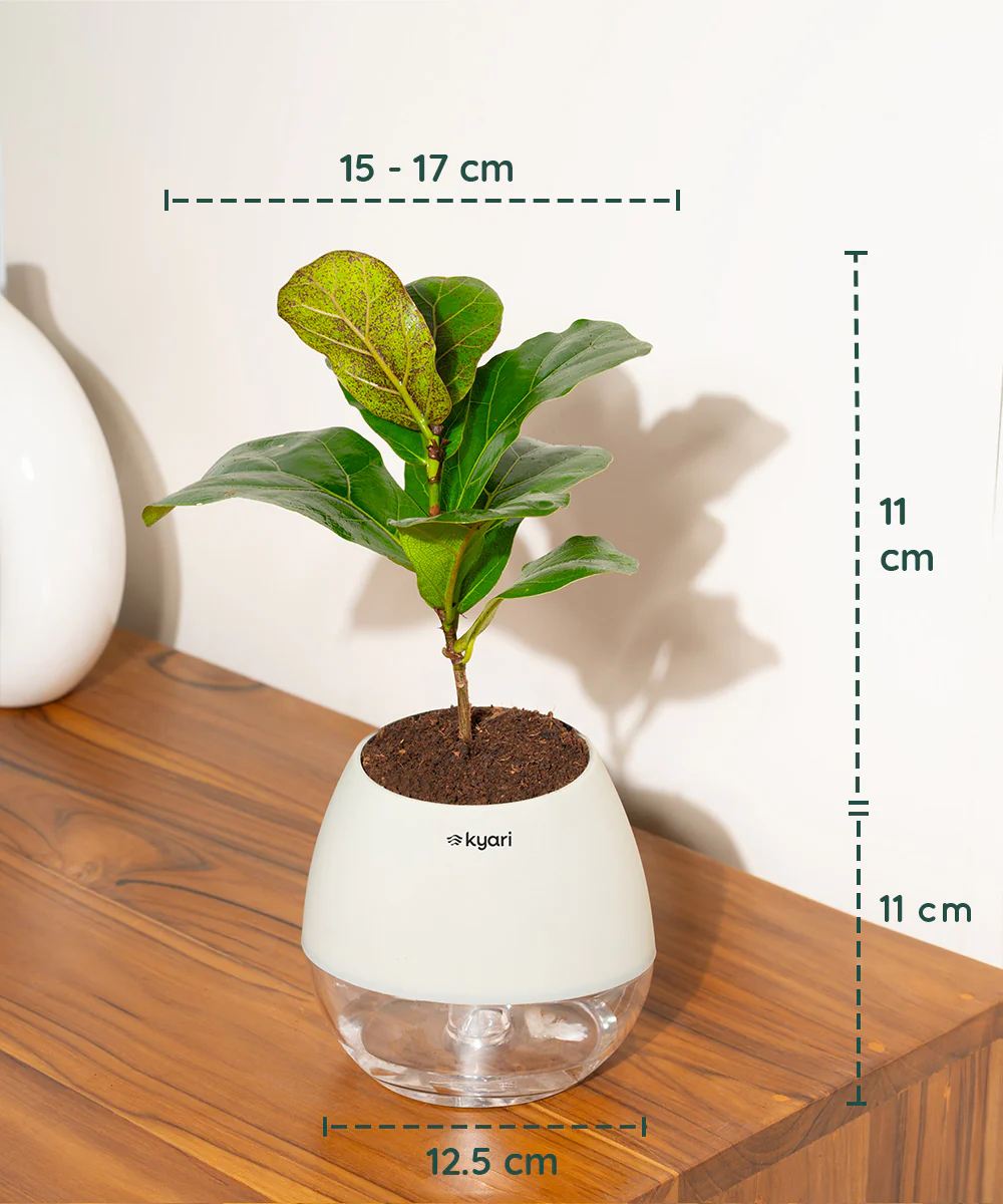 Product image 141