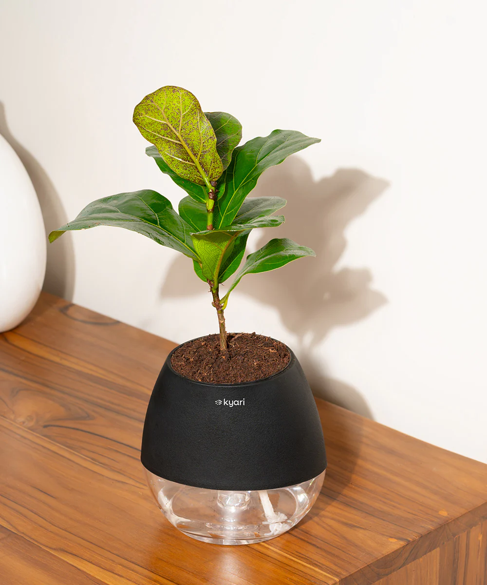 Product image 148