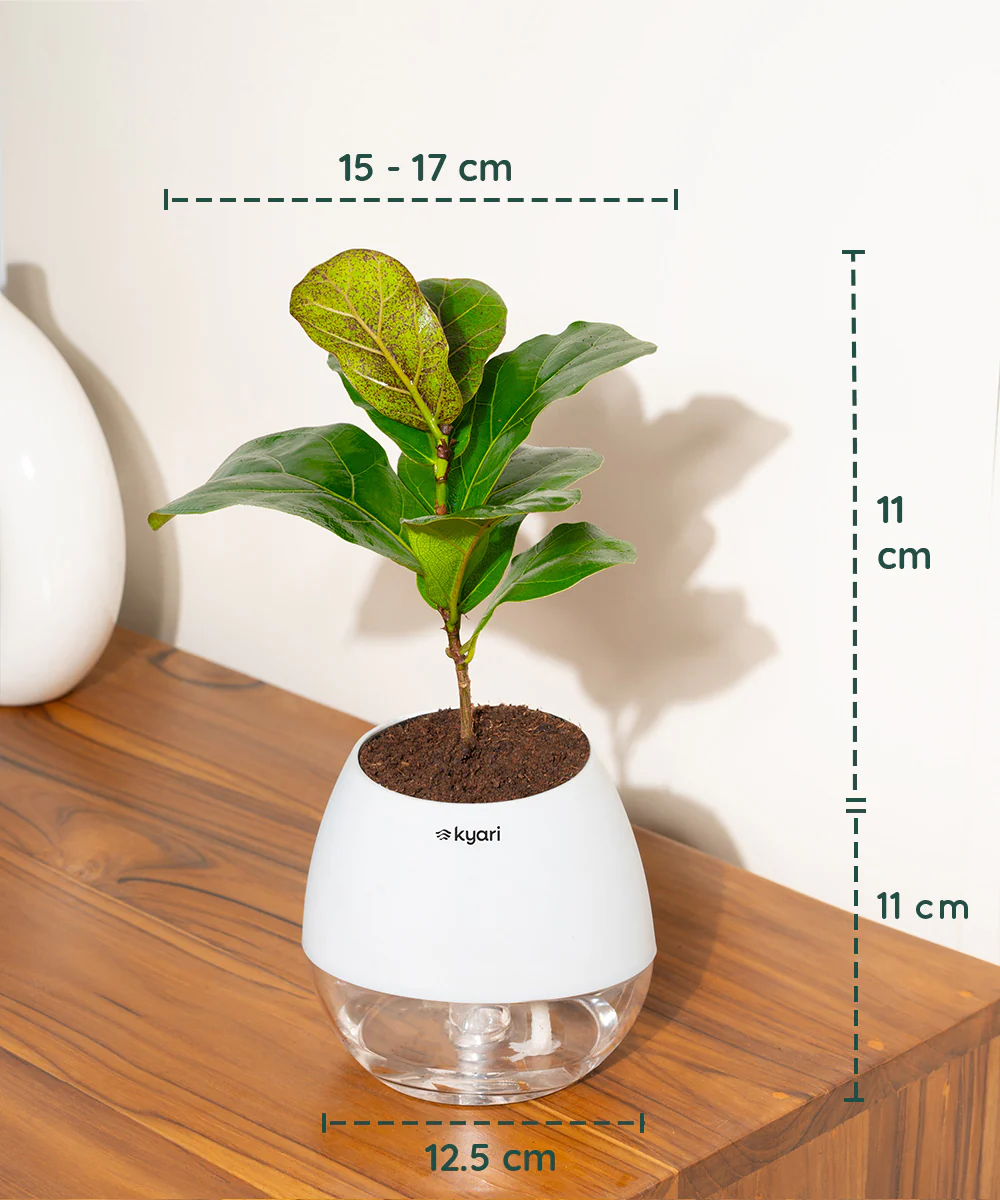 Product image 157