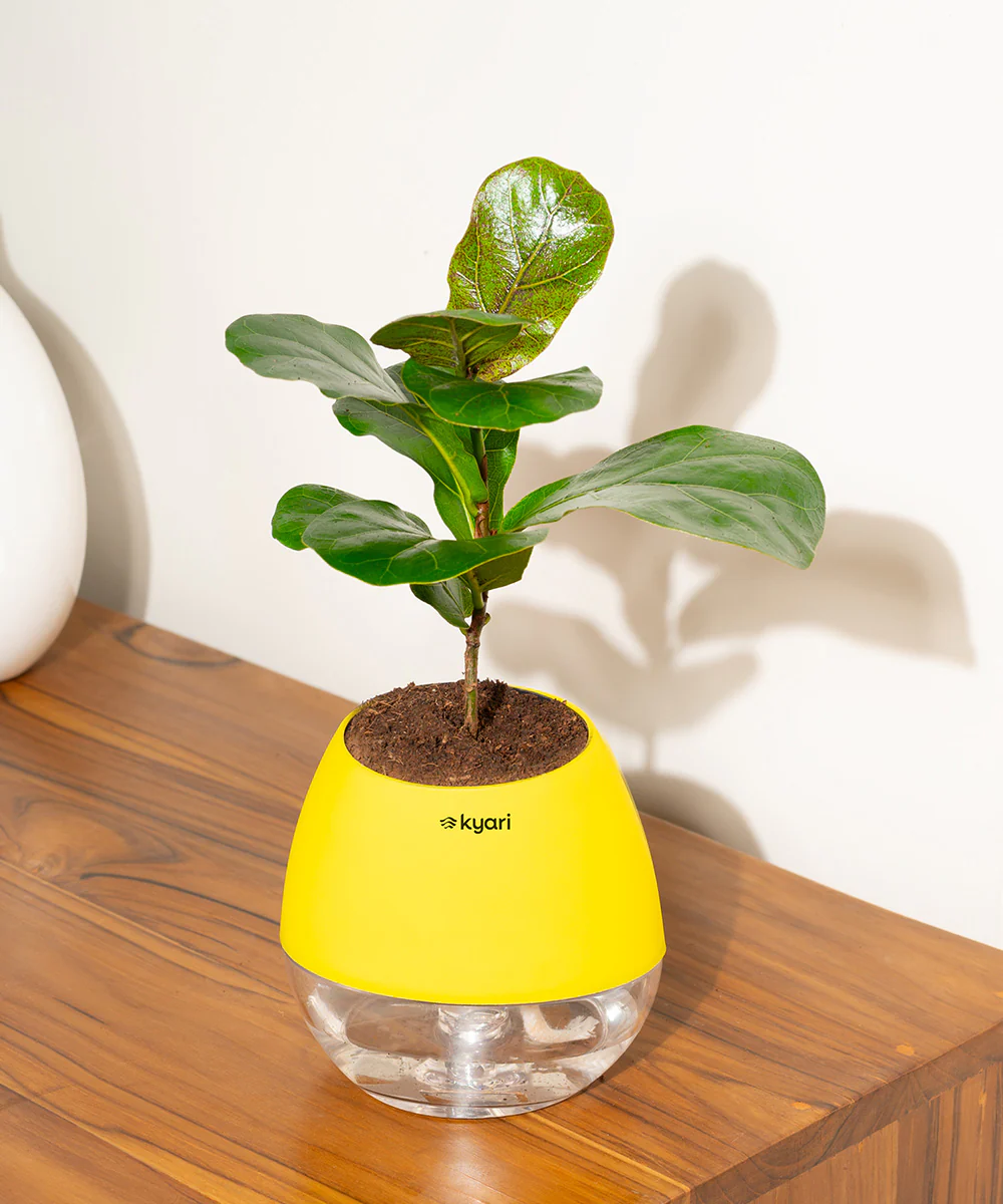 Product image 164