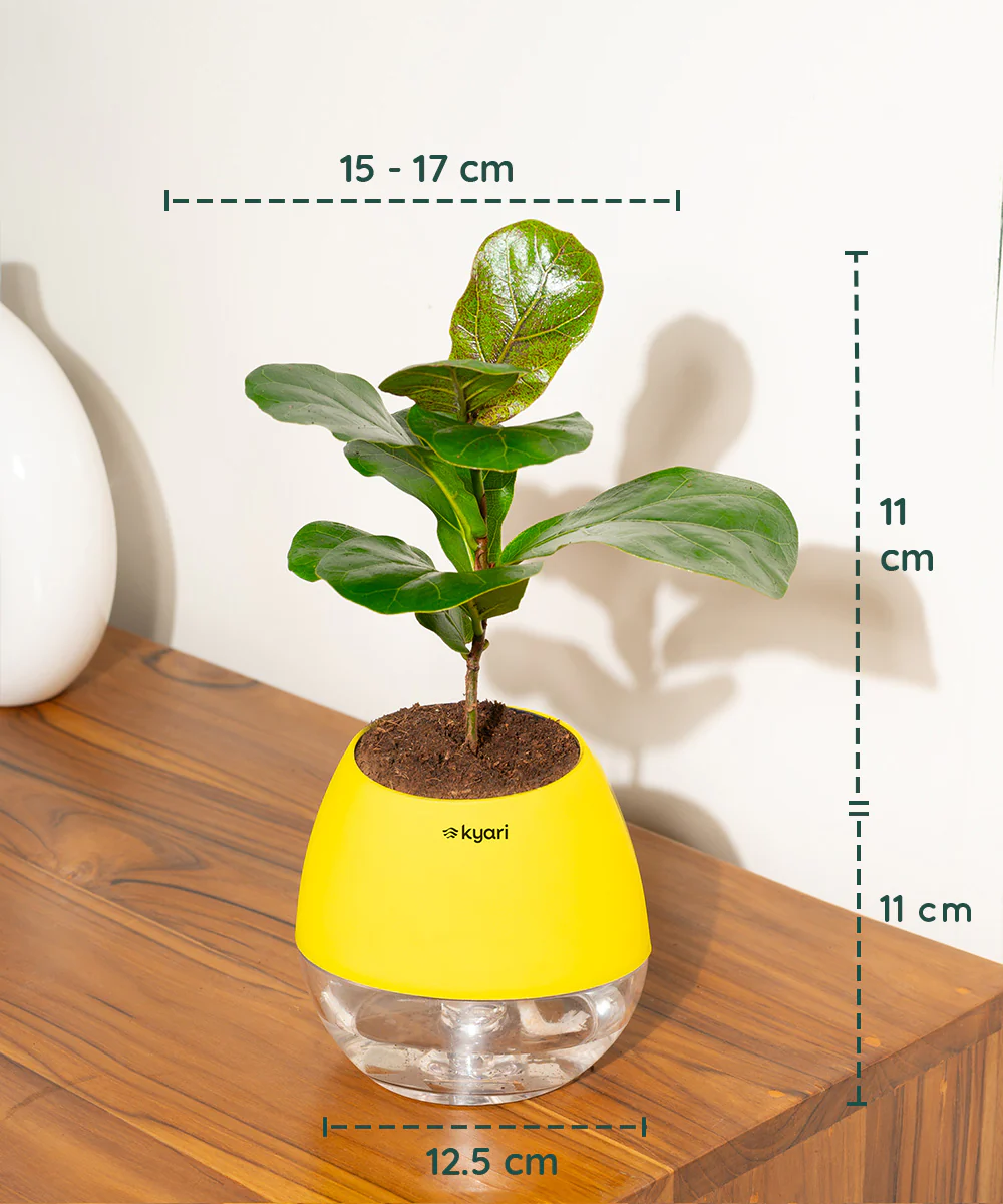 Product image 165