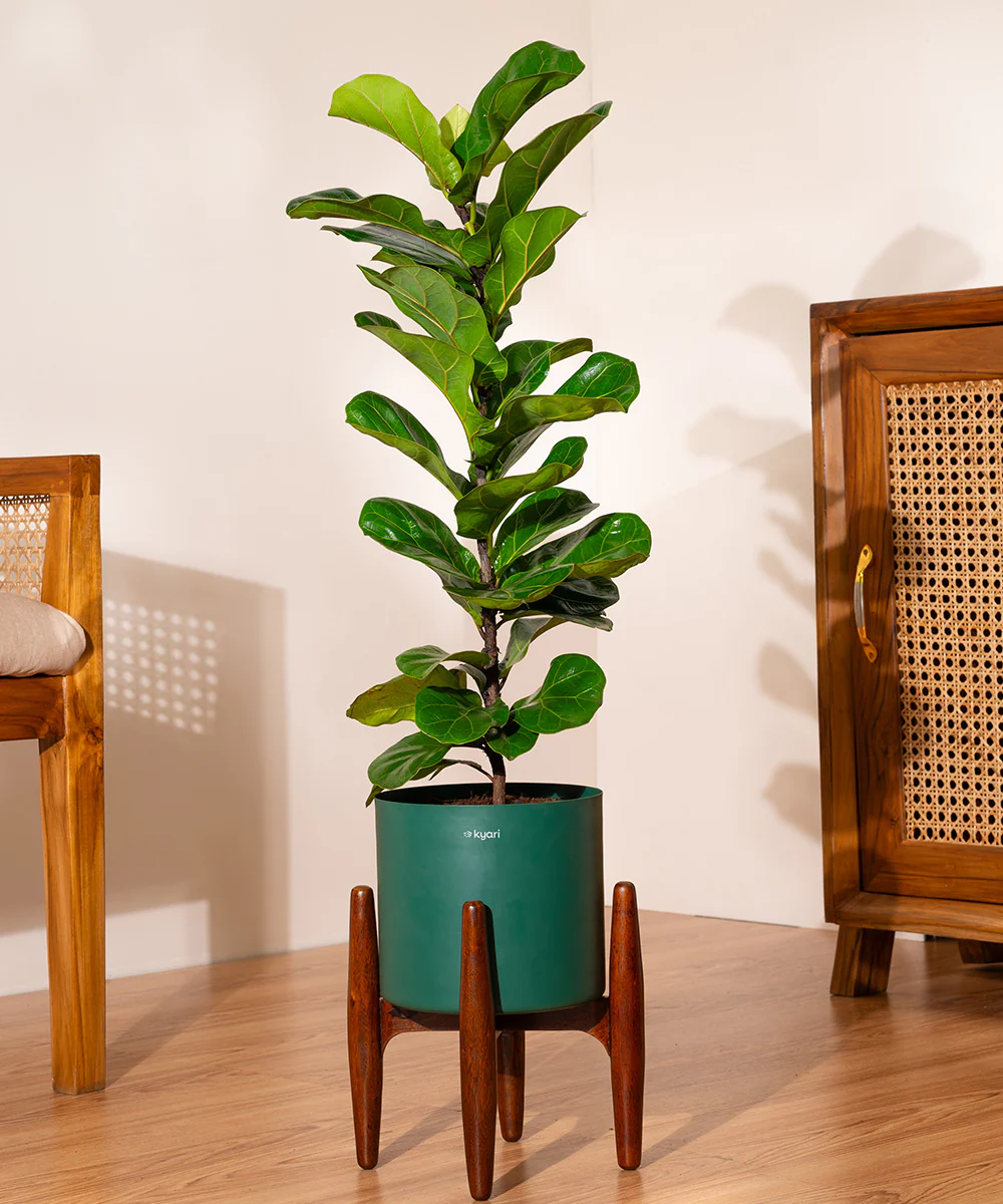 Product image 78