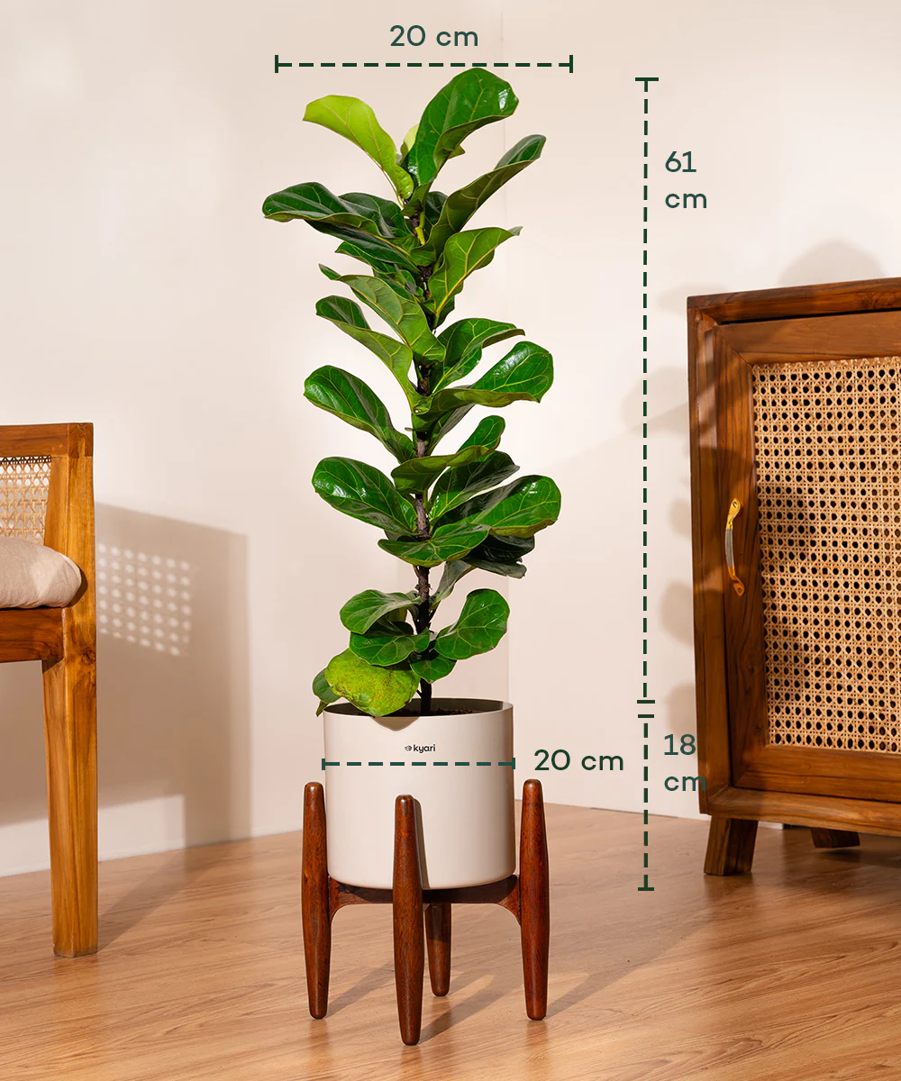Product image 94