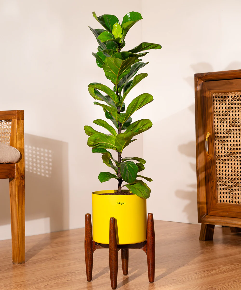 Product image 98