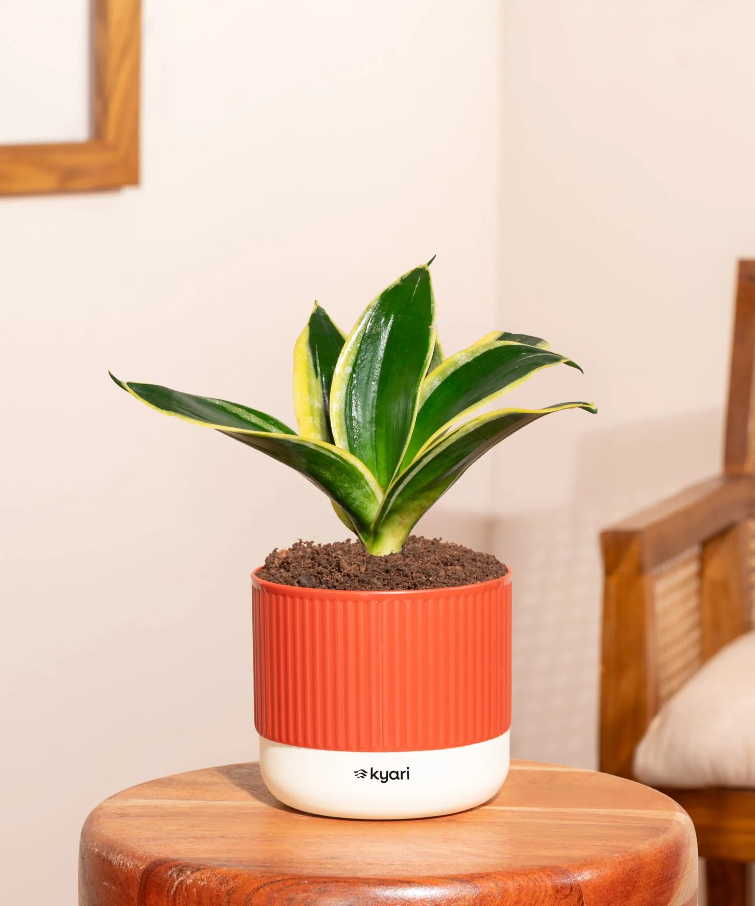 Product image 141