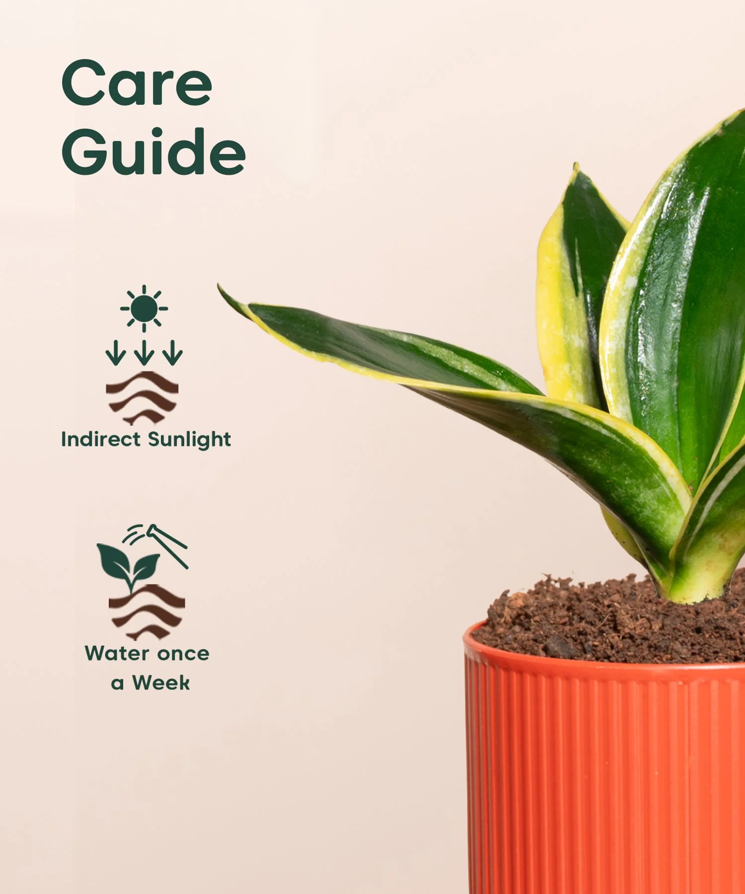Product image 146