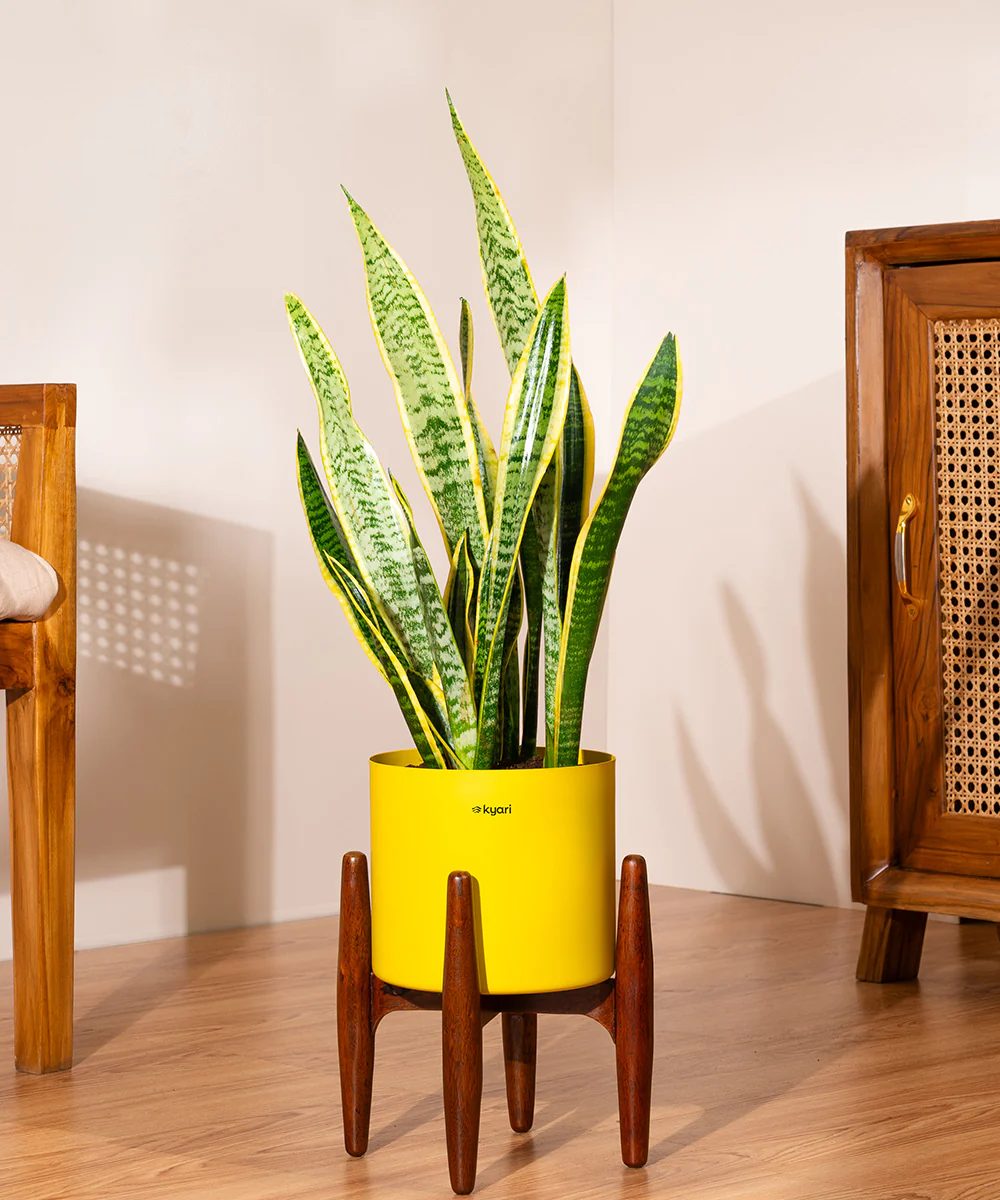 Product image 97