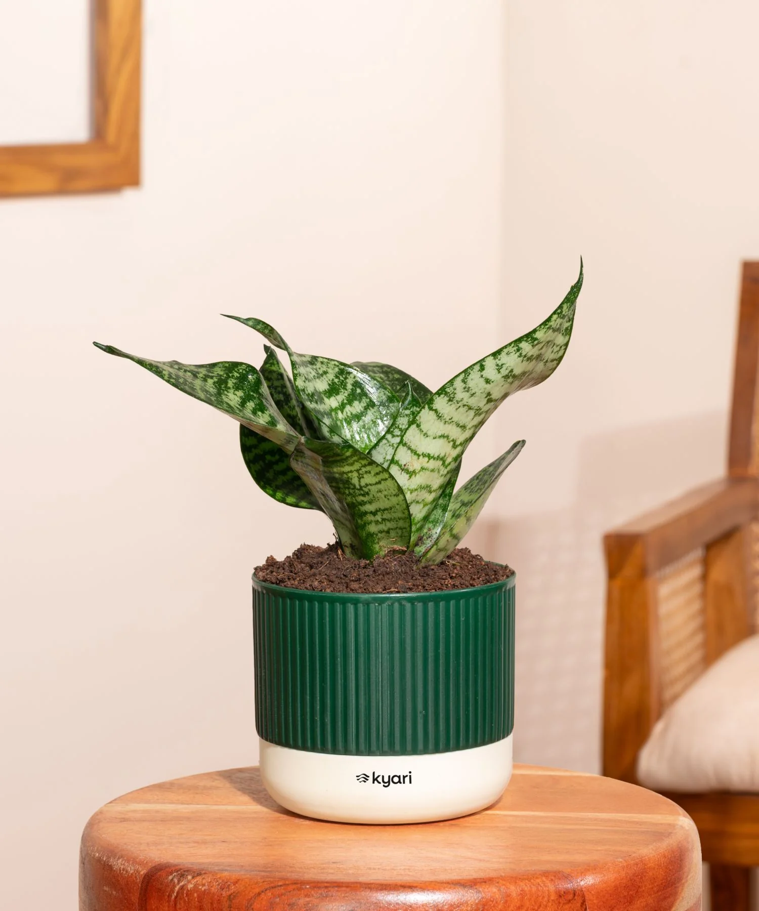 Product image 108