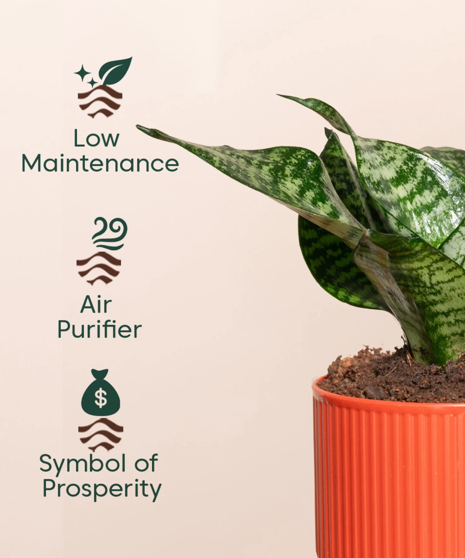 Product image 117