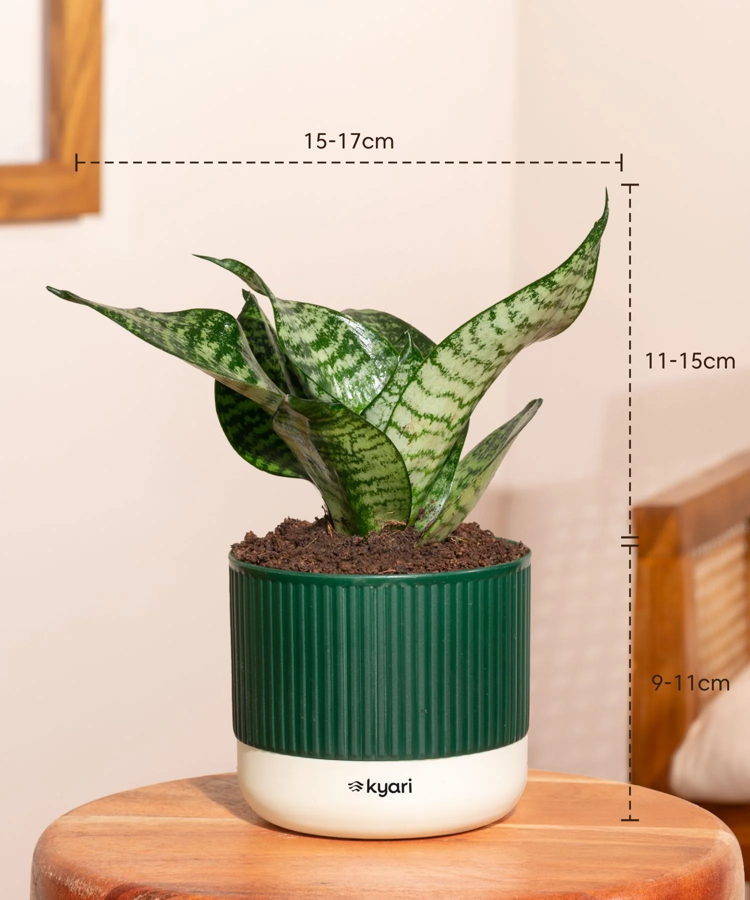Product image 109